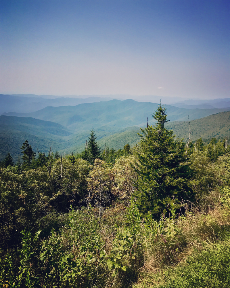 Illustration for article titled Clingmans Dome. Highest point in the Smokies.